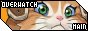 Jetpack Cat 88x31 button